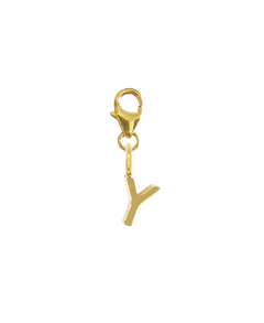 LETTER SNAP CHARM - Y